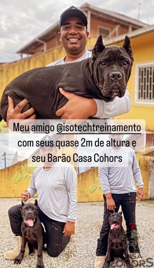 Clientes