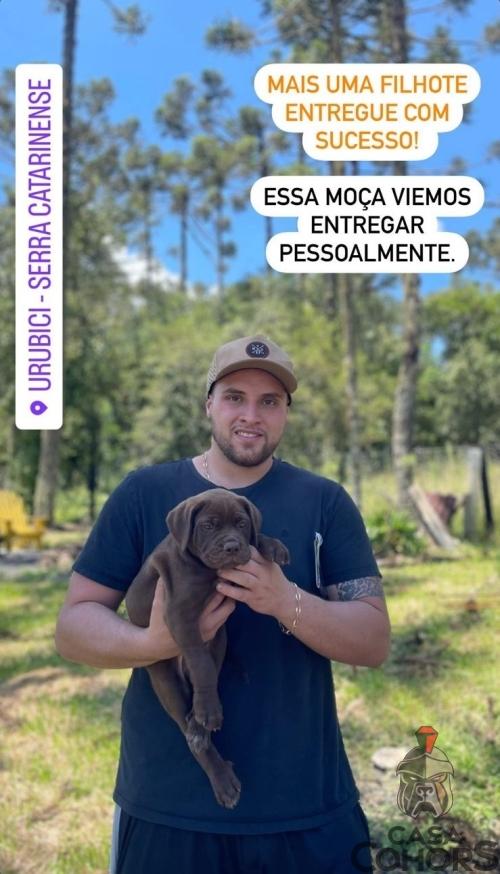 Clientes