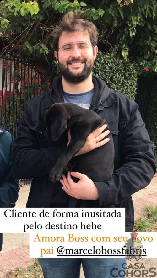 Clientes